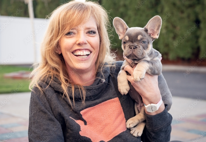 lilac tan french bulldog