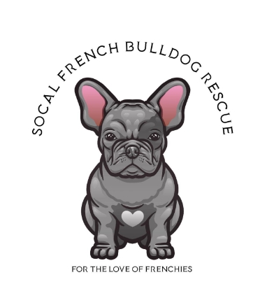 frenchbulldogrescue